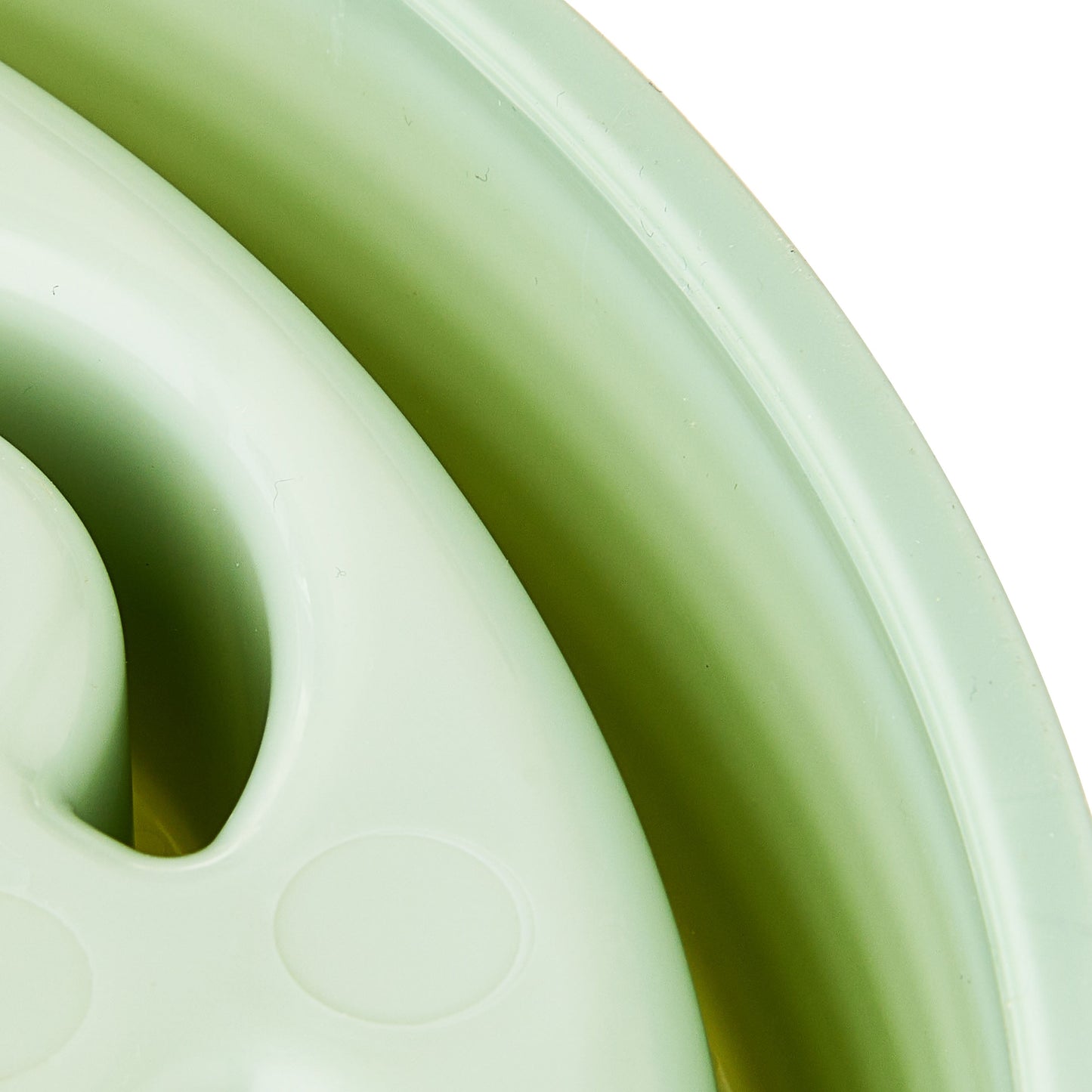 Slow Chow Dog Bowl, Green Medallion