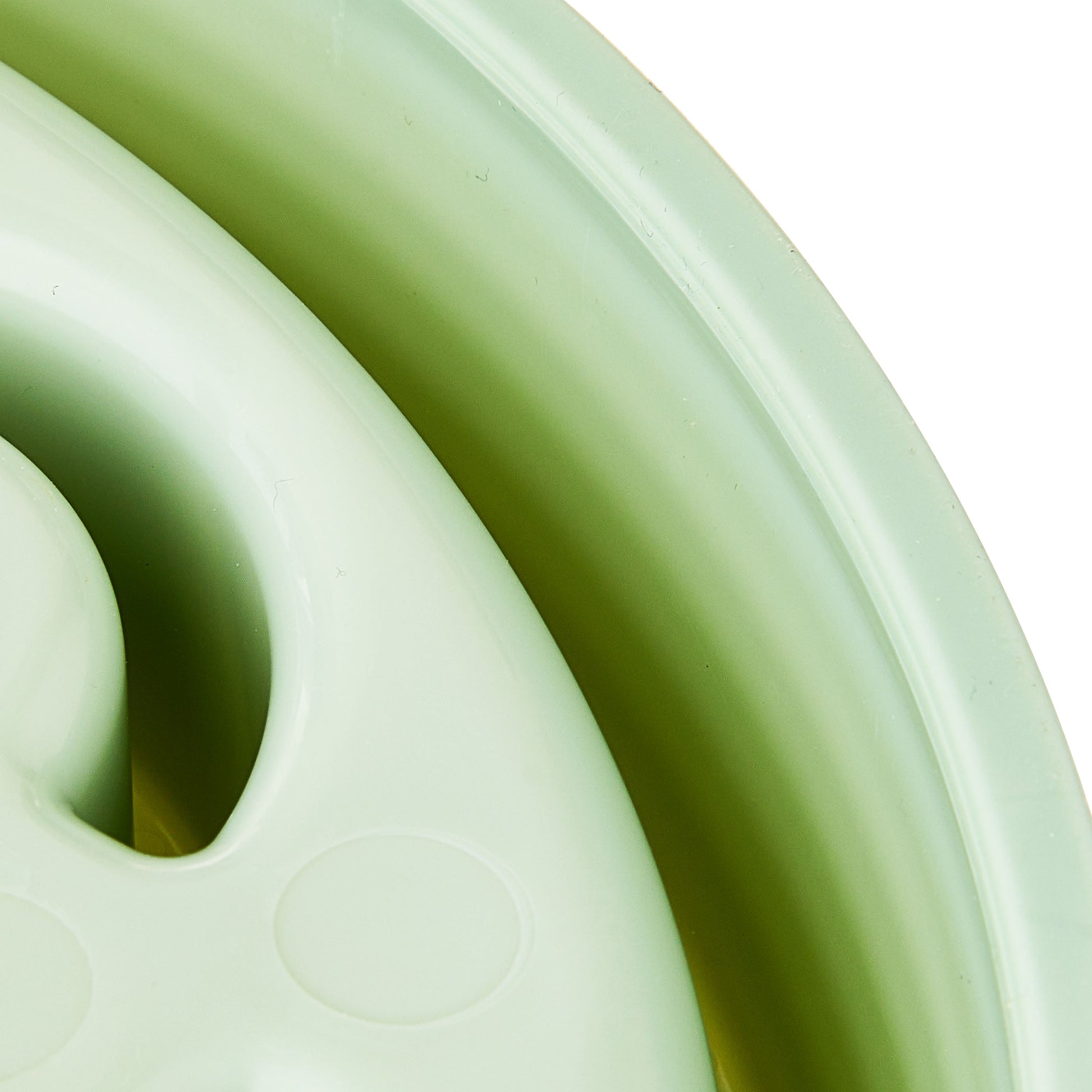 Slow Chow Dog Bowl, Green Medallion