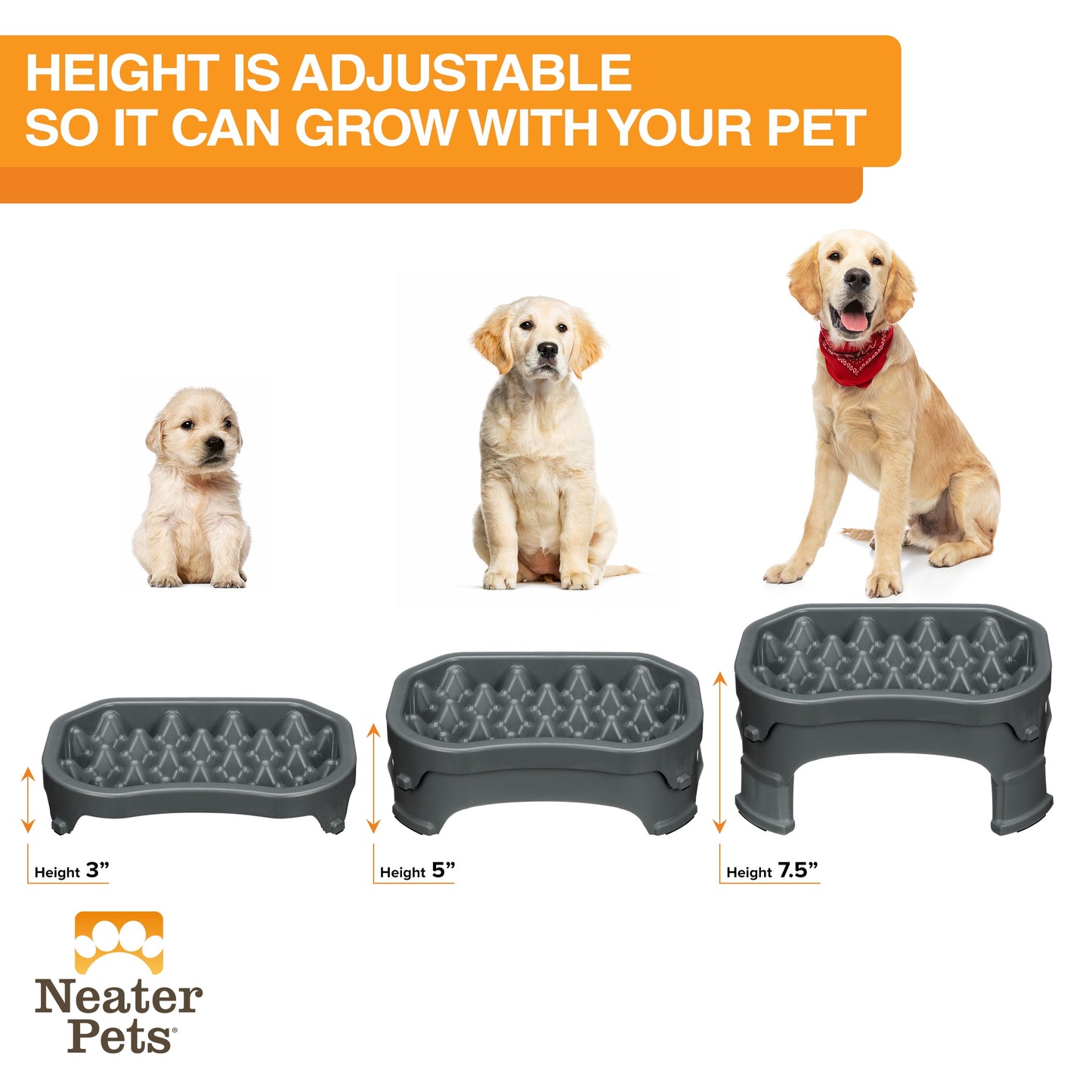 Raised Neater Slow Feeder - Elevated & Adjustable Feeding Height - Improves Digestion, Stops Obesity, and Slows down Eating, 6 Cups, Gunmetal